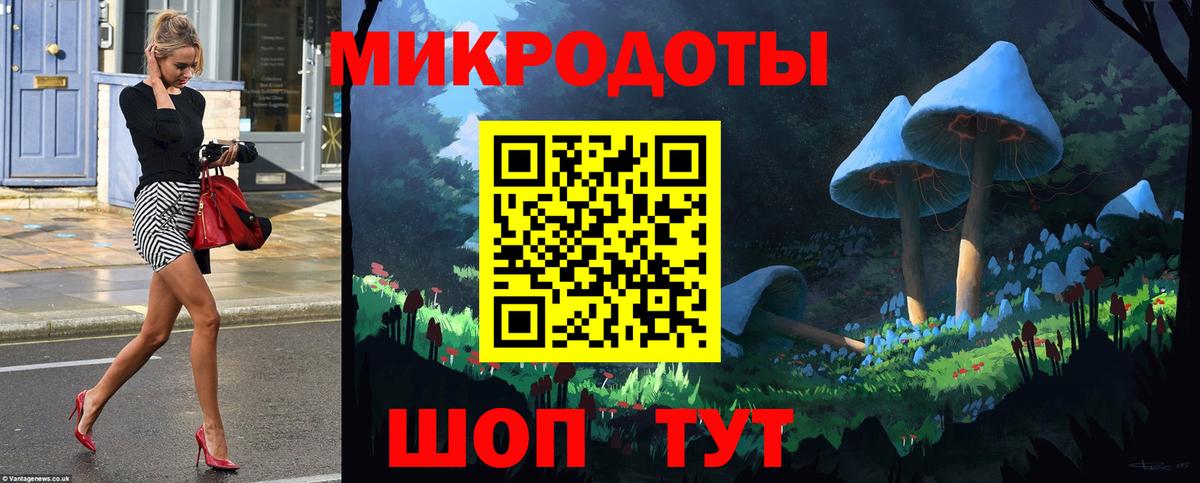 Псилоцибиновые грибы Cubensis Орёл